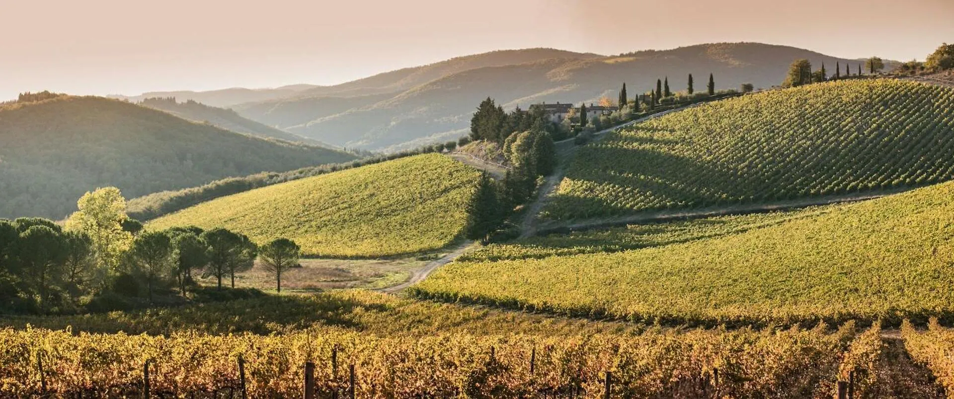 Tuscan Style Apartment, Shared Pool Gaiole in Chianti Apartment